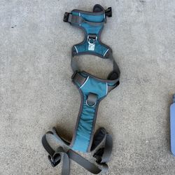 Dog body harness for leash (blue And Orange) 