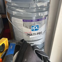 PPG MULTI PRO PAINT