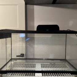 Glass Aquariums and UVB + Heating Lamps For Sale!