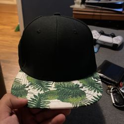Lids Brand Hat