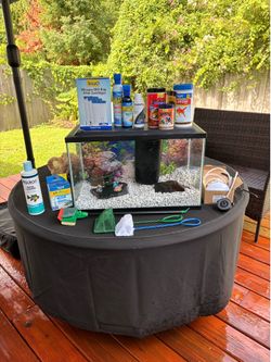 10 gallon fish tank with everything included