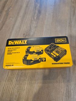 DeWalt 20V MAX 5.0Ah Batteries Set of 2 + DCB1104 Charger DCB205-2C