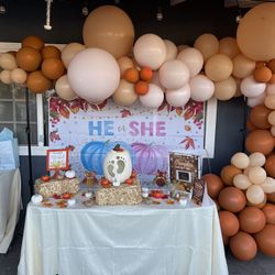 Back Drop Banner For Gender reveal 