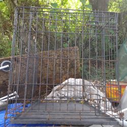 Dog Cage 