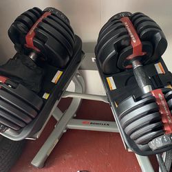 Bowflex SelectTech 552 Adjustable Dumbbells, Stand And Bench