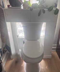 Over the toilet storage