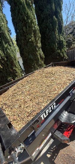 Mulch/woodchips