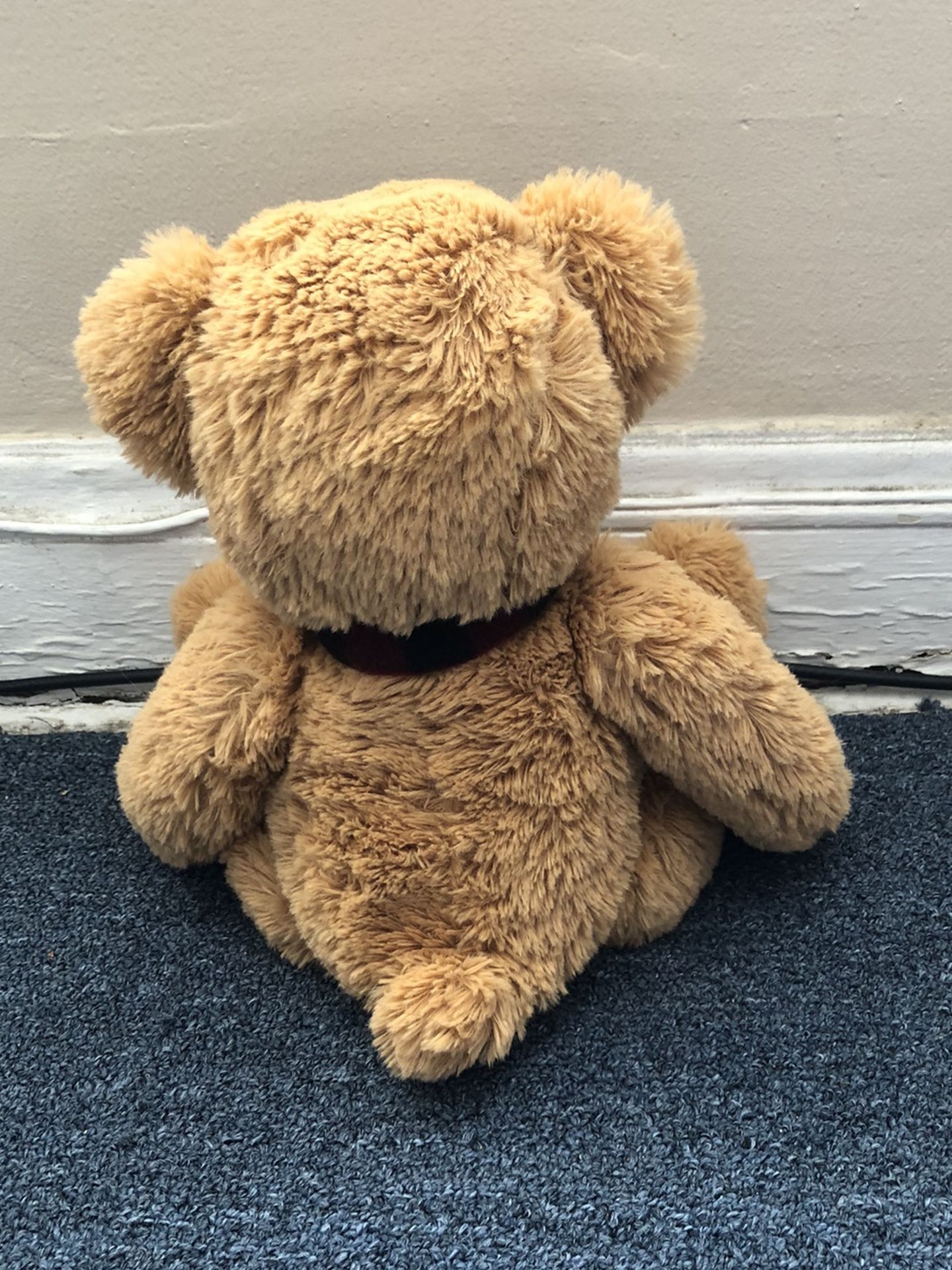 Childs Teddy Bear