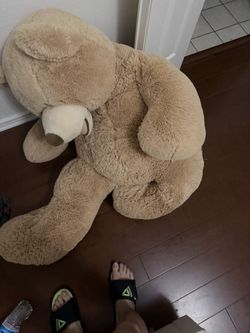 Teddy bear