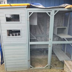 Used Outdoor/indoor Cat Condo