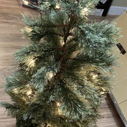 Small Tree With Lights