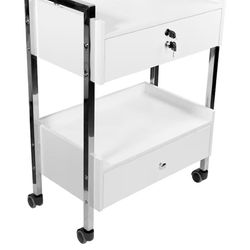 Mobile Utility Cabinet with Steel Frame