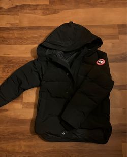 Canada goose