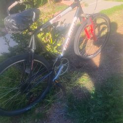 Raleigh Bicycle mountain and Allen Sports bike rack