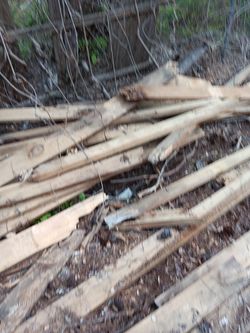 Hard wood