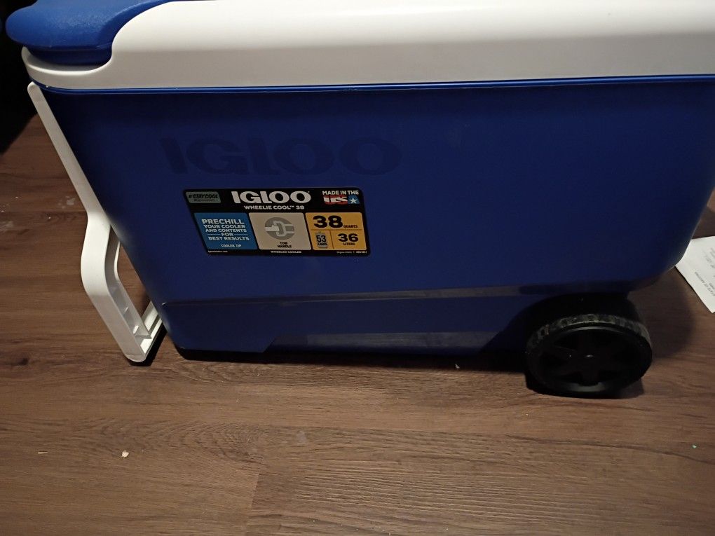 IGLOO COOLER