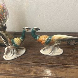 Royal Complay  pheasants great for centerpiece for Thanksgiving