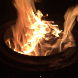 🔥FIREWOOD FOR SALE 🔥CAMPING FISHING COOKING 🔥FIREWOOD FOR SALE 🔥