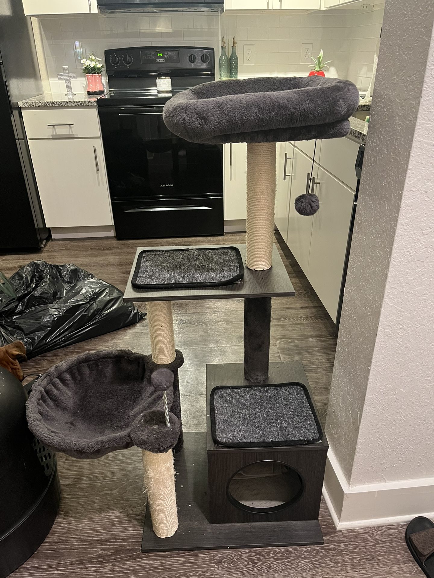 Great Condition Complete Cat Essentials Set