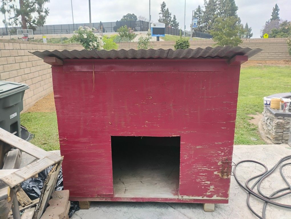 Dog Or Goat House