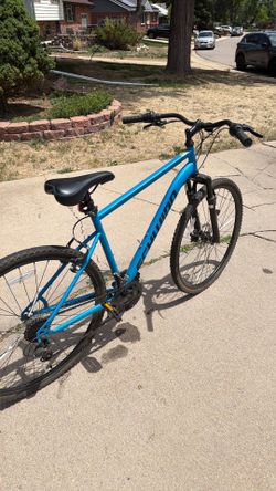 700 Schwinn Copeland