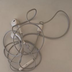 Apple Lightning Headphones 