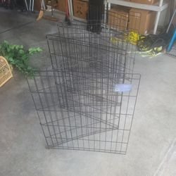 Exercise Pen