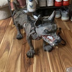 Growling Dog