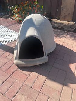 Small Dog house