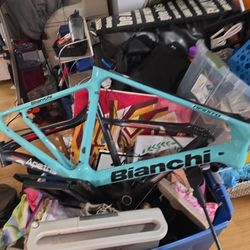 Bianchi Frame