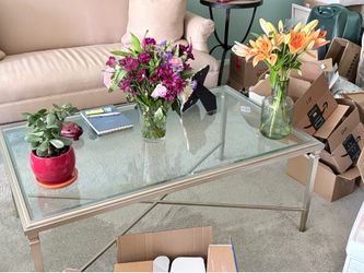 MUST SELL BY 6/15 — Ethan Allen Minimalist Coffee Table | Inset Glass Top | Champagne Chrome Frame