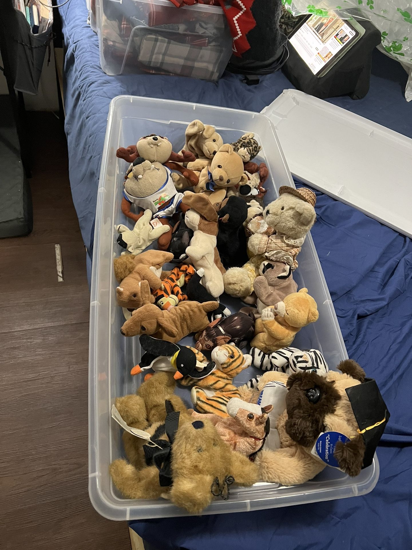 Beanie Babies 