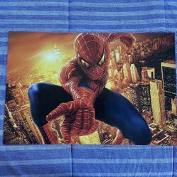 16 x 24 Picture Of Spider-Man