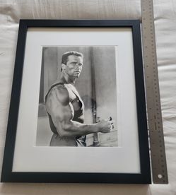 Arnold Schwarzenegger