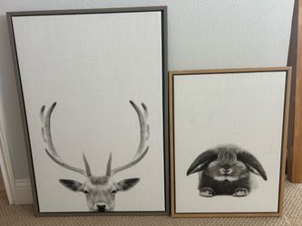 Animal Wall pictures