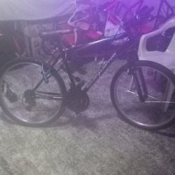 Semi new Roadmaster bike NEED BRAKES FIXED