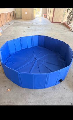 Pool for Dogs