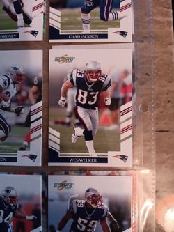 Wes Welker