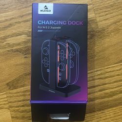 Chartering Dock For N-S 2 Joypads