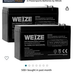 Weize Rechargeable Battery For Scooter 