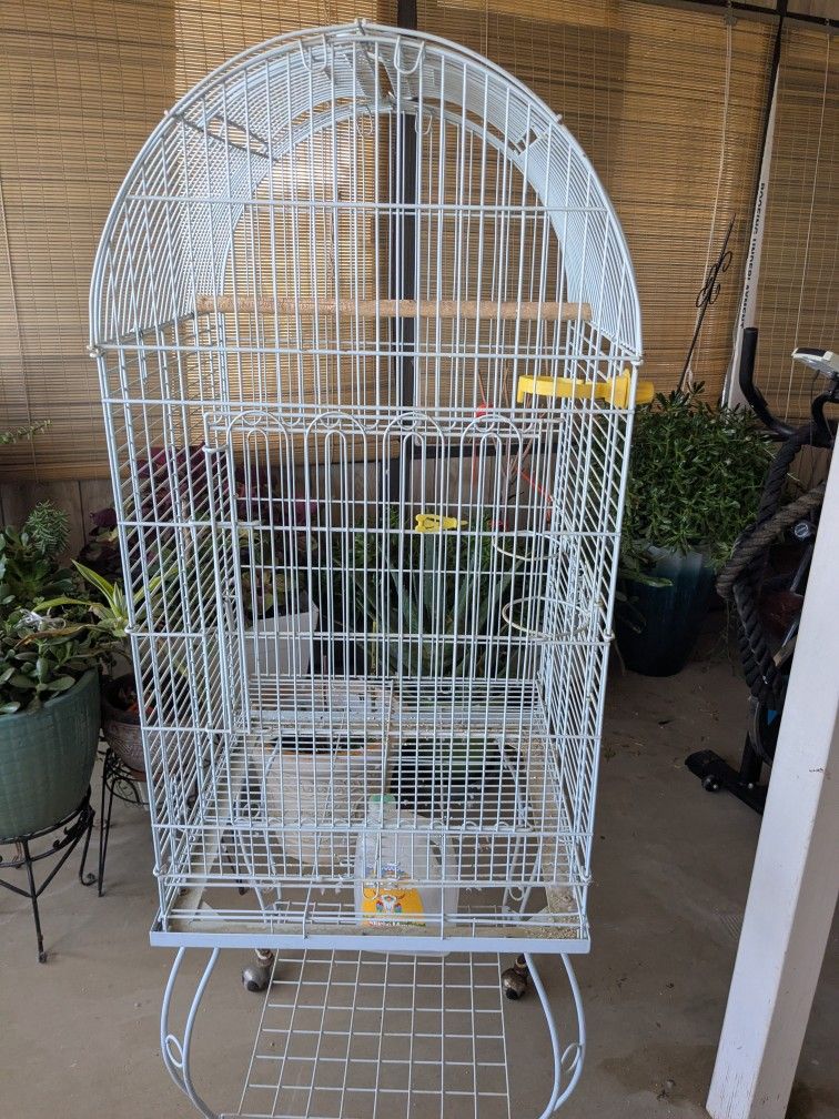 Bird Cage 