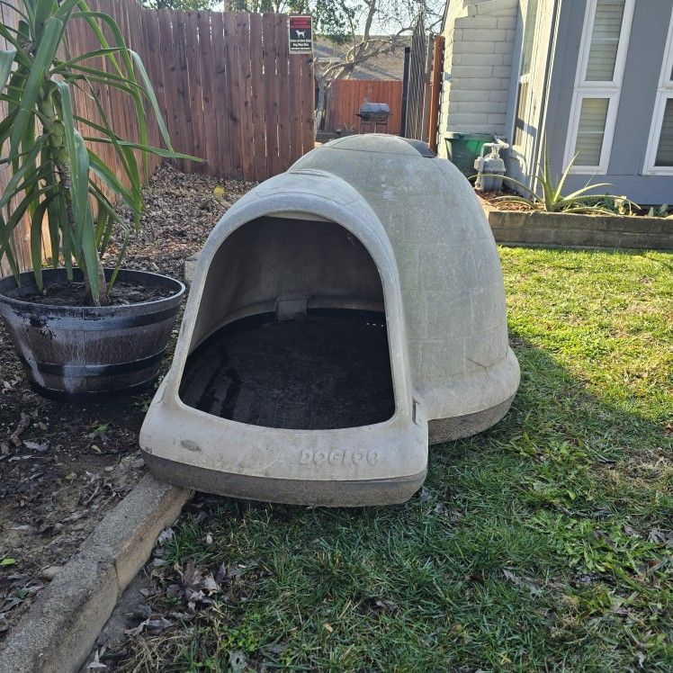 XXL DOGLOO $40