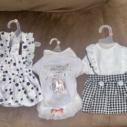 Cute Black/White XS And SMALL Dog Dresses 