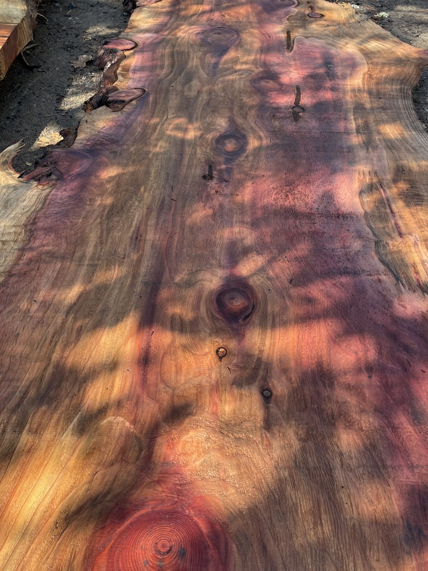 Beautiful Huge Live Edge Redwood Slab