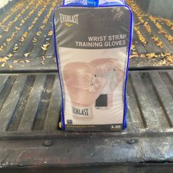 Everlast Boxing Gloves (pink)