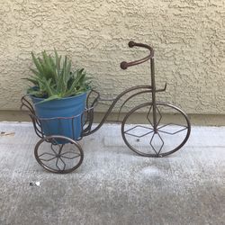 A charming rustic metal bike with a pot of aloe succulents 