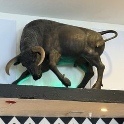 Real Size Bull for Decoration