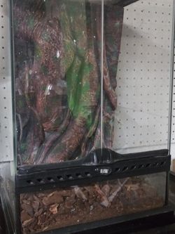 aquarium for lizard etc