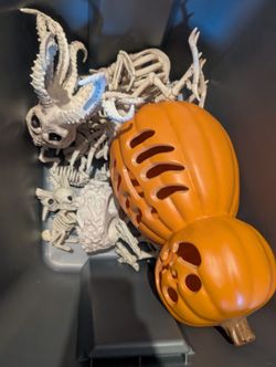 Halloween Skeletons And Pumpkin 