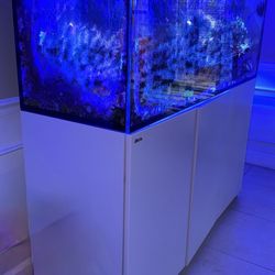 Used RED SEA REEFER 450 